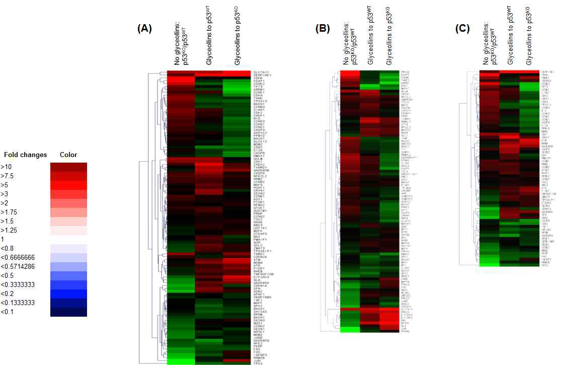 Effect of glyceollins on mRNA expression pattern in p53-wild type and -mutant HCT116 cells.