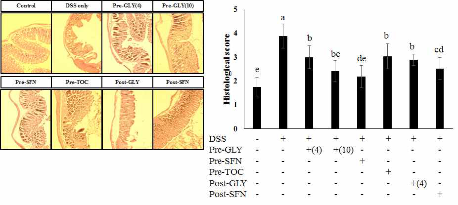 Effect of glyceollins on colon epithelial injury in DSS-induced colitis.