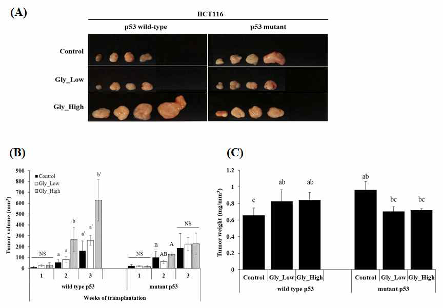 Effect of glyceollins on the size, volume, density, and growth rate of tumor in xenograft mouse model of human colon cancer