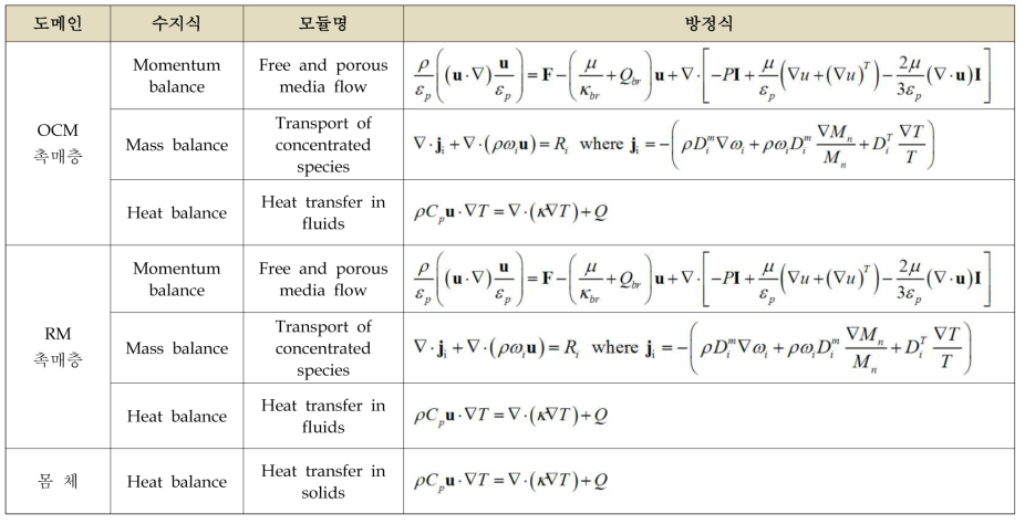 도메인에 설정된 지배방정식