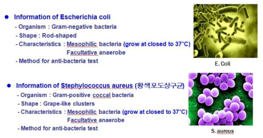 Anti-Bacteria test에 사용한 박테리아 정보
