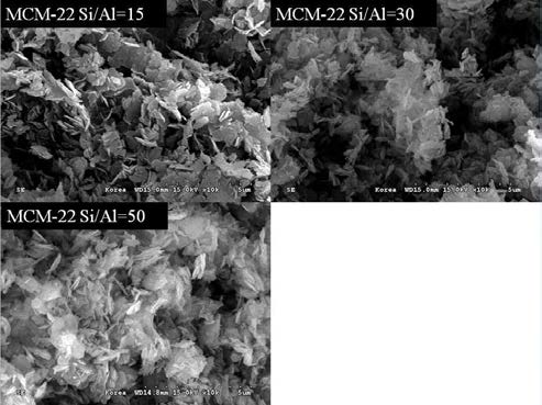 다양한 Si/Al ratio의 MCM-22 입자의 SEM 이미지