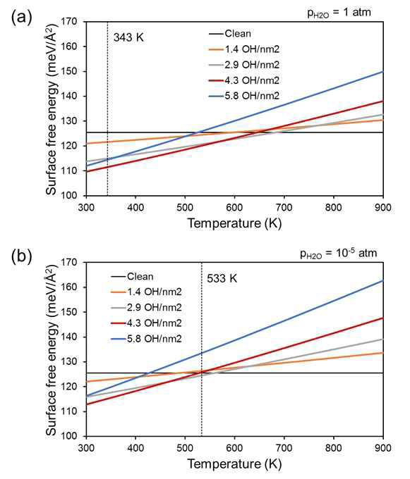 다양한 표면 수산화기 밀도를 갖는 Tetragnoal ZrO2 (101)의 온도 및 H2O 분압에 따 른 표면 자유에너지