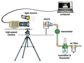 성대 진동 측정을 위한 인위 발성 장치 및 초고속 카메라 시스템 모식도.