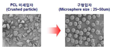 본 연구에서 개발된 구형입자 SEM 사진.