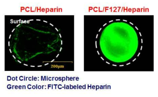 FITC-labeled heparin를 탑재한 구형입자의 사진