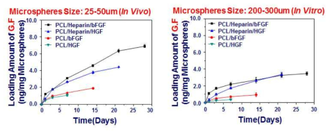 구형입자에 탑재된 성장인자(bFGF & HGF)의 방출분석.