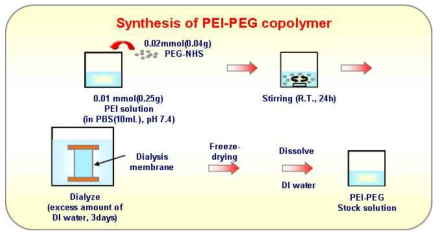 PEI/PEG 공중합체의 합성 모식도.