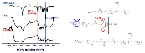 PEG-NHS, PEI 및 합성된 PEI-PEG의 FT-IR spectrum.