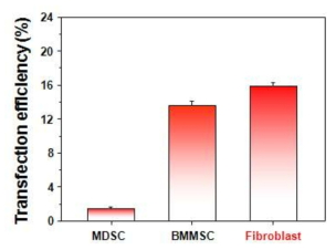 세포의 종류에 따른 plasmid DNA의 세포 이입 효율.