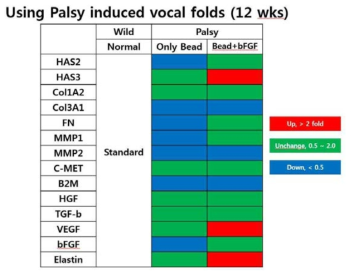 정상 성대와 bFGF 탑재 PCL bead 주사제 주입 후 마비 성대간의 유전자 발현 정도 비교.