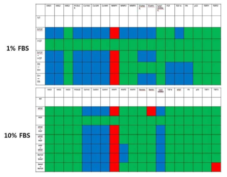 1% FBS와 10% FBS 배양액간의 유전자 발현 차이 비교.