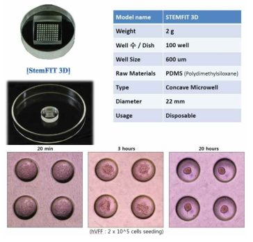 체내 조직과 유사한 환경 조성을 위한 3D 배양법 활용.