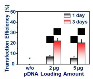 plasmid DNA탑재량에 의한 Alginate/HA 복합재료의 세포 이입효율.