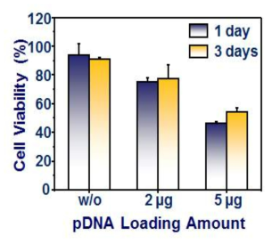 plasmid DNA 탑재량에 의한 Alginate/HA 복합재료 방출된 세포 이입에 따른 세포 생존율.