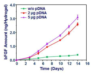 plasmid DNA 농도에 의한 이입된 세포에서의 bFGF 발현량.