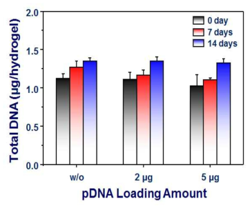 plasmid DNA가 탑재량에 따른 세포의 증식 (DNA Contents).