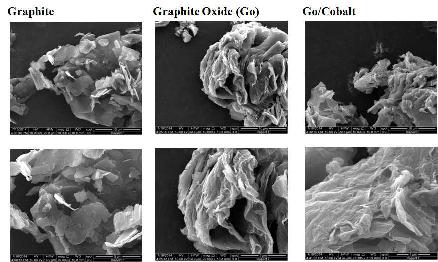 Graphite, Graphite oxide(Go), Go/Co SEM 비교 실험