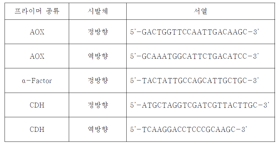 Pichia gDNA PCR에 사용되는 프라이머