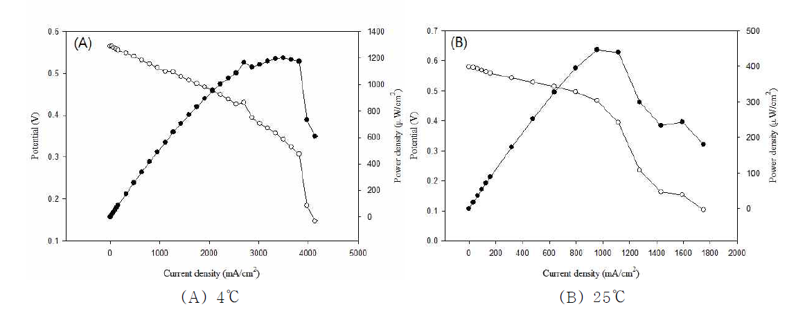 온도에 따른 효소 고정화 전력밀도