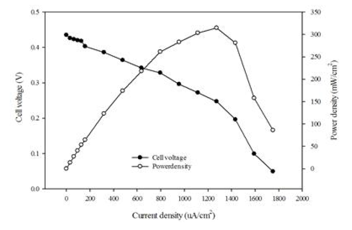 PcCDH 효소가 적용된 연료전지에서 전력밀도