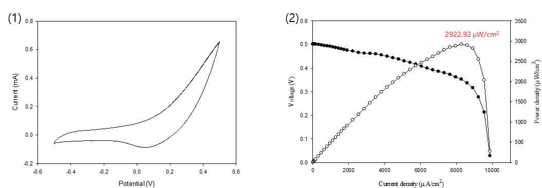 pcCDH 효소가 적용된 연료전지에서 순환 전압-전류 및 전력밀도