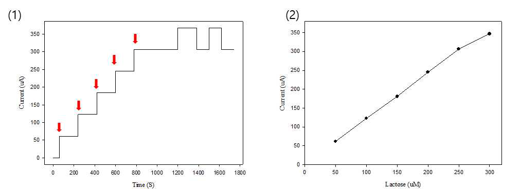 락토오스 농도별 전류