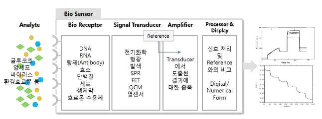 바이오센서의 구동 원리