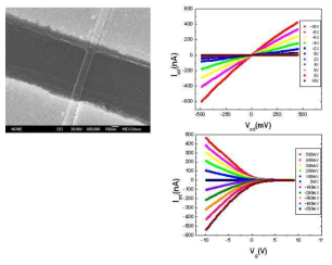 Si 나노선 소자의 SEM 사진과 I-V curve