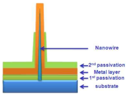 나노선 전극 최종 구조 모식도