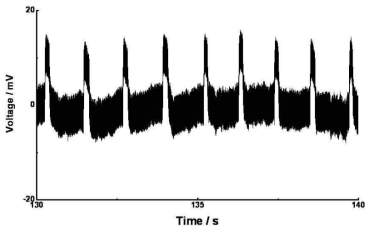 나노선 전극이 연결된 소자의 GH3 세포 신호 측정