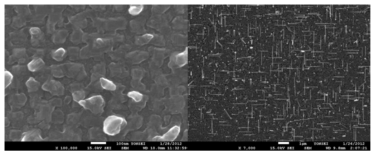 SiO2 산화막 mask를 이용해 실리콘 나노선을 합성한 기판의 주사전자현미경 사진