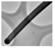 백금 전도층이 균일히 도포된 실리콘 나노선의 TEM 사진