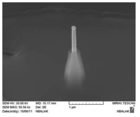 최상층부만 드러난 최적화된 나노선 전극의 주사전자현미경 사진