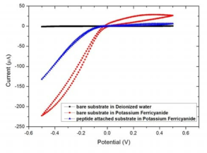 (흑) 3차 증류수 조건에서의 나노선 전극 cyclic voltammogram (적) 페리시안화 칼륨 용액 안에서의 펩타이드를 처리하지 않은 어레이형 나노선 전극의 cyclic voltammogram (청) 페리시안화 칼륨 용액 안에서의 펩타이드가 결합된 어레이형 나노선 전극의 cyclic voltammogram