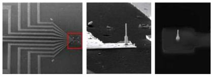 포토리소그래피 기술을 통해 전극 채널이 형성된 SEM 이미지(좌), e-beam 리소그래피 기술을 통해 선택적으로 나노선 별 전극 채널이 형성된 SEM 이미지(중), 선택적 전극 형성 후 선택적 passivation 공정을 통해 탐침형 나노선 전극 부분만을 노출 시켜 나노선 신경 소자를 최종 구성한 SEM 이미지(우)