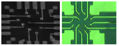개별 나노선 별로 전극 채널이 형성된 다채널 나노선 신경 소자의 SEM 이미지(좌), 패턴된 나노선을 이용해 동일한 소자 공정을 통해 구성한 나노선 신경 소자의 광학현미경 이미지(우)