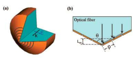 Plasmonic lens를 이용한 NSOM