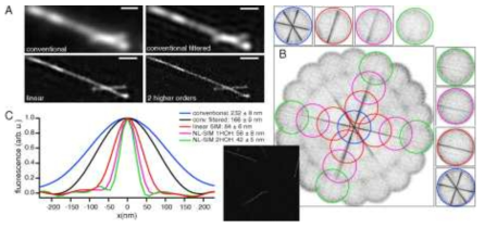 microtubules의 일반 현미경과 선형 및 비선형 SIM의 이미지 비교