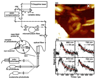 Time-resolved scanning near-field optical microscopy