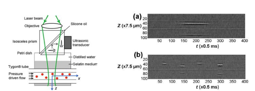 실험 장치 모식도와 유체 속 입자의 광음향 이미지