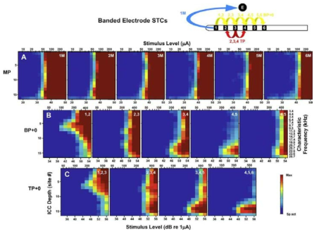 다른 전극 자극에 따른 spatial tunning curves