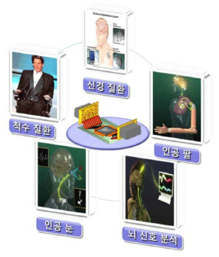 개발될 신경소자의 활용 가능 분야