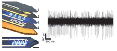 Injectable, cellular-scale semiconductor devices 구조와 측정된 신경신호