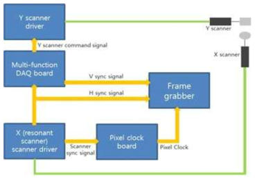 실시간 이광자 현미경의 고속 스캐너 제어 시스템 및 이미지 획득을 위한 신호 흐름도