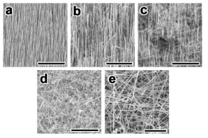 합성된 나노와이어들의 SEM 사진