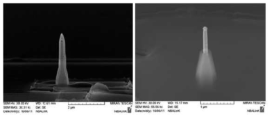 백금 전도층을 도포한 후 다시 최종 passivation층이 증착된 나노선 전극(좌) 과 최상층부가 드러난 최적화된 나노선 전극(우)의 주사전자현미경 사진