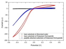 (흑) 3차 증류수 조건에서의 나노선 전극 cyclic voltammogram (적) 페리시안화 칼륨 용액 안에서의 펩타이드를 처리하지 않은 어레이형 나노선 전극의 cyclic voltammogram (청) 페리시안화 칼륨 용액 안에서의 펩타이드가 결합된 어레이형 나노선 전극의 cyclic voltammogram