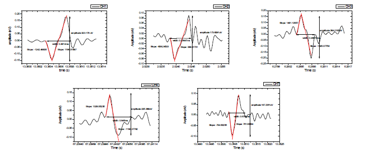 각 채널별 다른 시간에 검출된 action potential