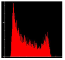 신호처리부 개선 후 측정된 스펙트럼 (Cs-137 200초)
